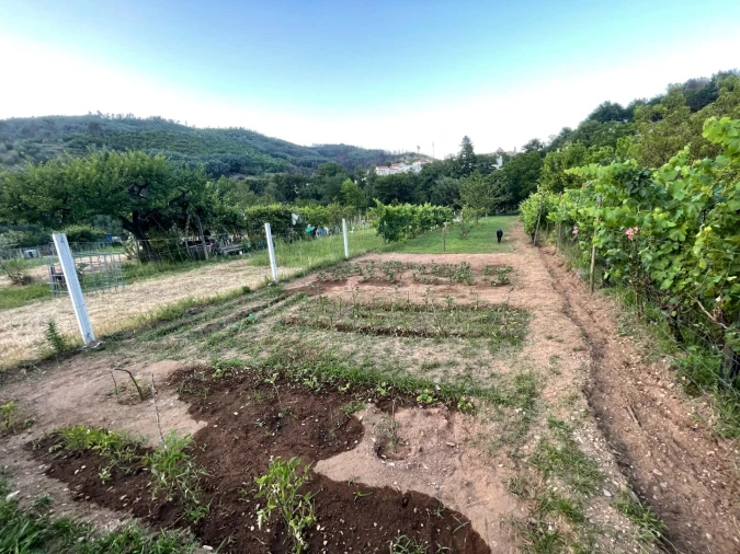 Terreno Agricola ou Rústico para Venda em Penalva de Alva e São Sebastião da Feira Foto 7