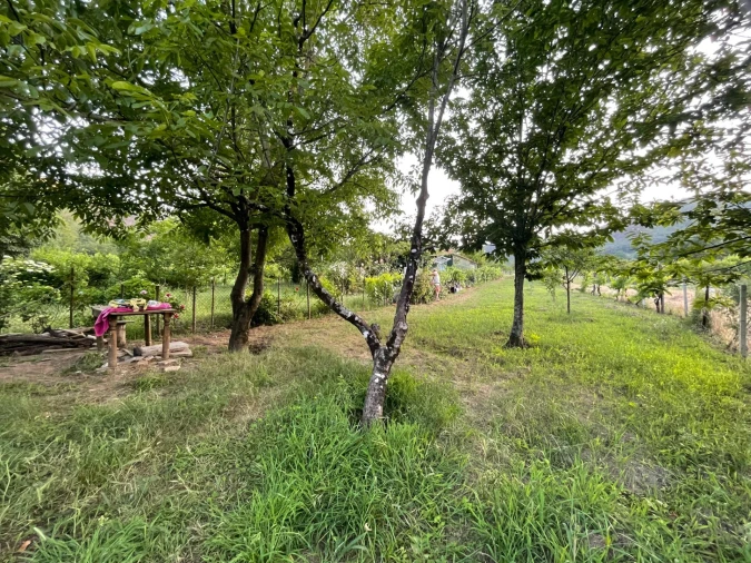 Terreno Agricola ou Rústico para Venda em Penalva de Alva e São Sebastião da Feira Foto 8