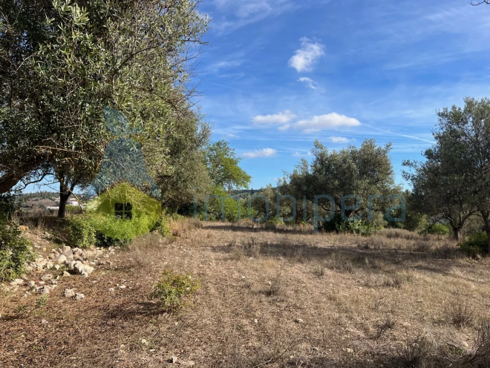 Terreno para Venda em Paderne Foto 1