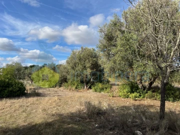 Terreno para Venda em Paderne