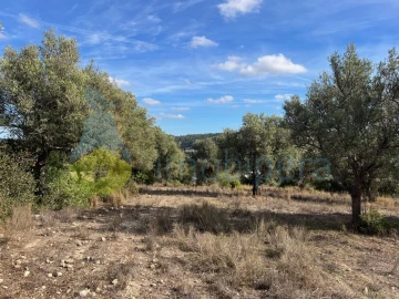 Terreno para Venda em Paderne