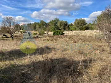 Terreno para Venda em Paderne