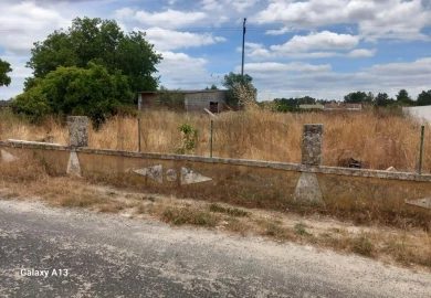 Terreno para Venda em Salvaterra de Magos e Foros de Salvaterra