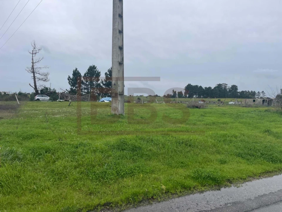 Terreno para Venda em Salvaterra de Magos e Foros de Salvaterra Foto 3