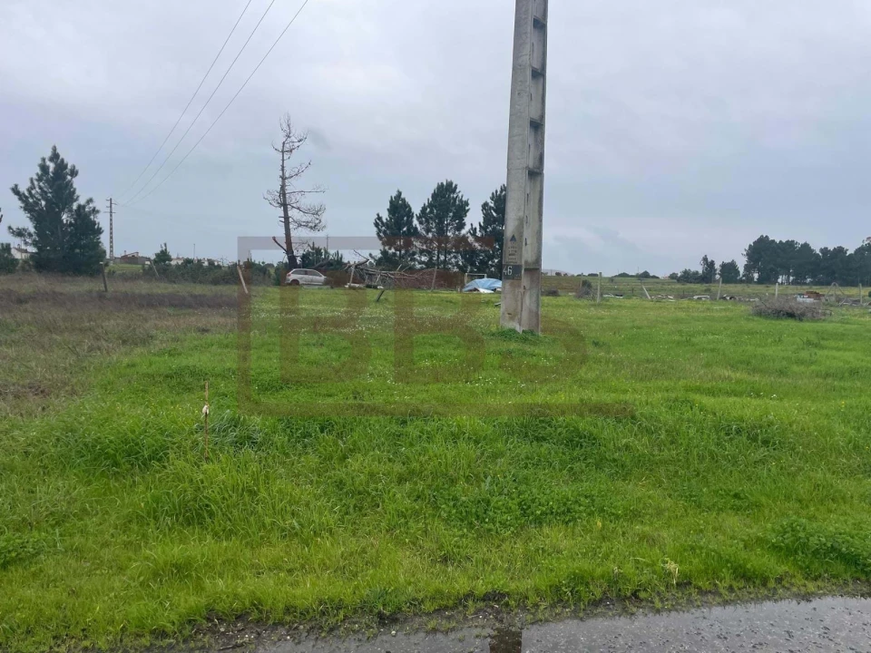 Terreno para Venda em Salvaterra de Magos e Foros de Salvaterra Foto 4