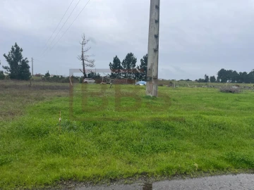 Terreno para Venda em Salvaterra de Magos e Foros de Salvaterra