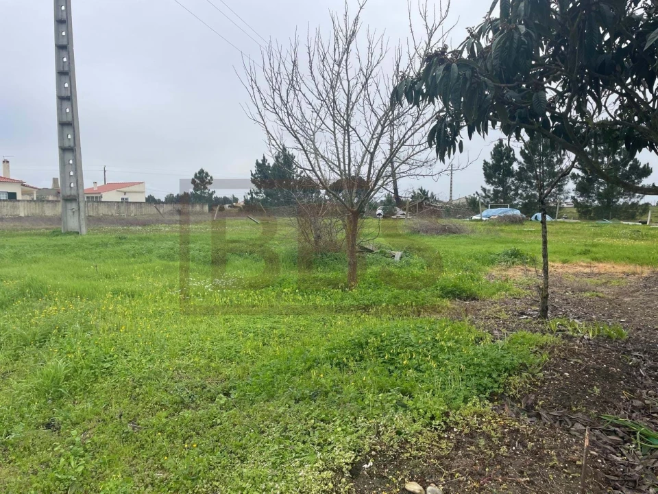 Terreno para Venda em Salvaterra de Magos e Foros de Salvaterra Foto 2