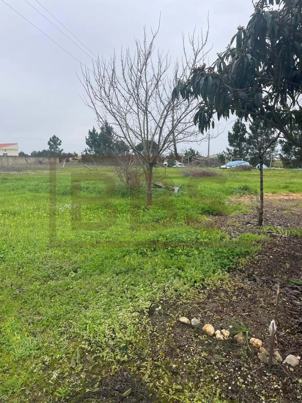 Terreno para Venda em Salvaterra de Magos e Foros de Salvaterra Foto 1