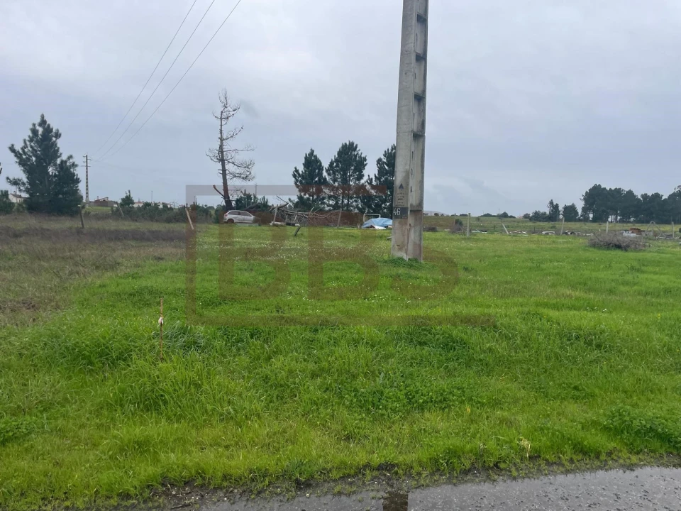 Terreno para Venda em Salvaterra de Magos e Foros de Salvaterra Foto 5
