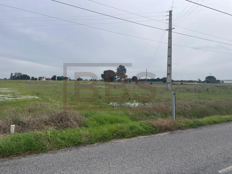 Terreno para Venda em Salvaterra de Magos e Foros de Salvaterra Foto 5