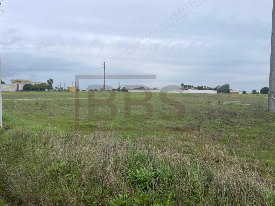 Terreno para Venda em Salvaterra de Magos e Foros de Salvaterra Foto 4
