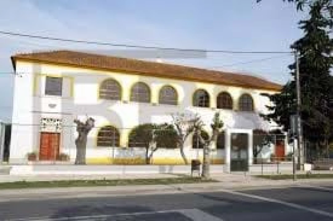Terreno para Venda em Salvaterra de Magos e Foros de Salvaterra Foto 32
