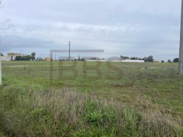 Terreno para Venda em Salvaterra de Magos e Foros de Salvaterra