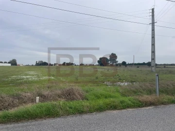 Terreno para Venda em Salvaterra de Magos e Foros de Salvaterra