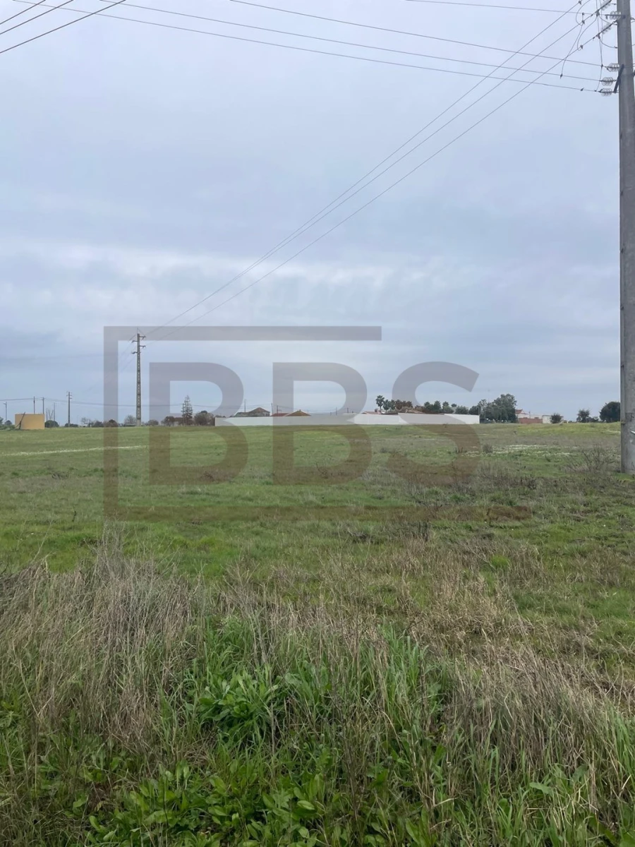 Terreno para Venda em Salvaterra de Magos e Foros de Salvaterra Foto 8
