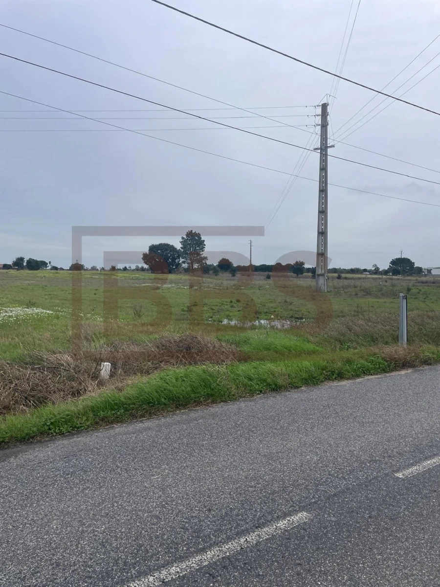 Terreno para Venda em Salvaterra de Magos e Foros de Salvaterra Foto 7