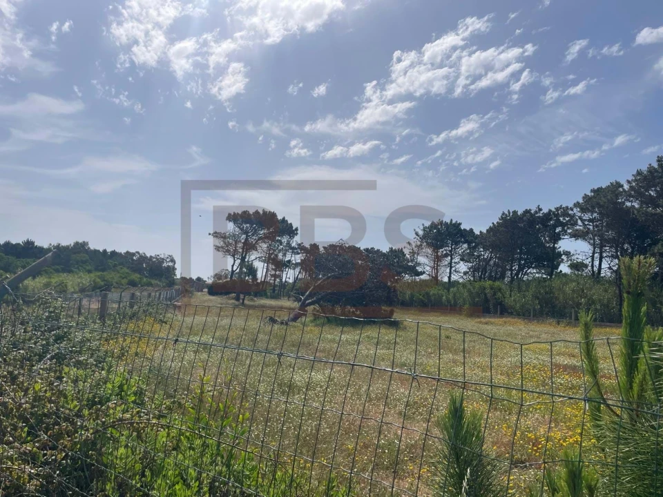 Quinta T4 para Venda em Agualva e Mira-Sintra Foto 3