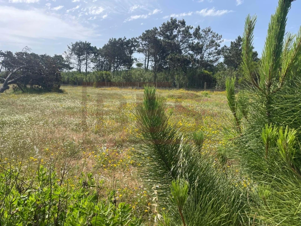 Quinta T4 para Venda em Agualva e Mira-Sintra Foto 2