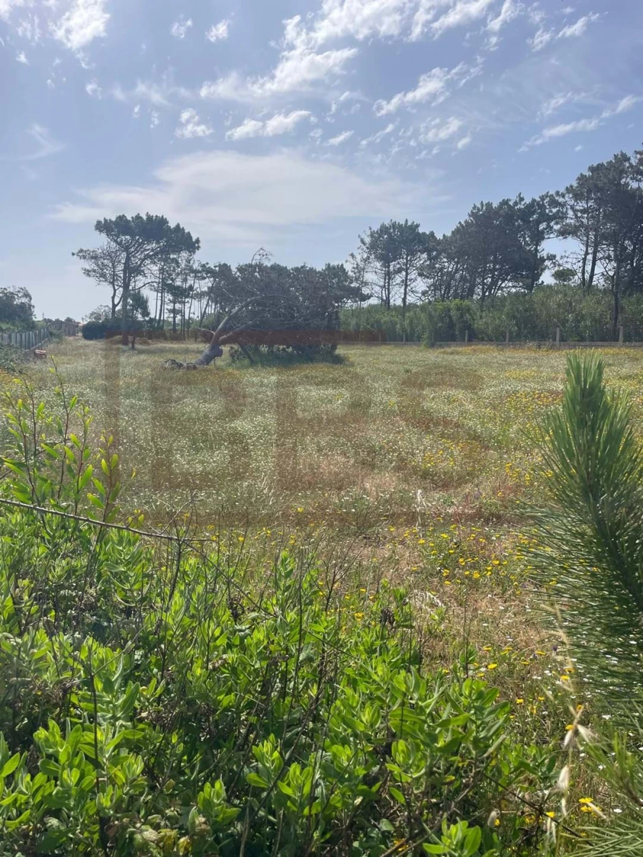 Quinta T4 para Venda em Agualva e Mira-Sintra Foto 7