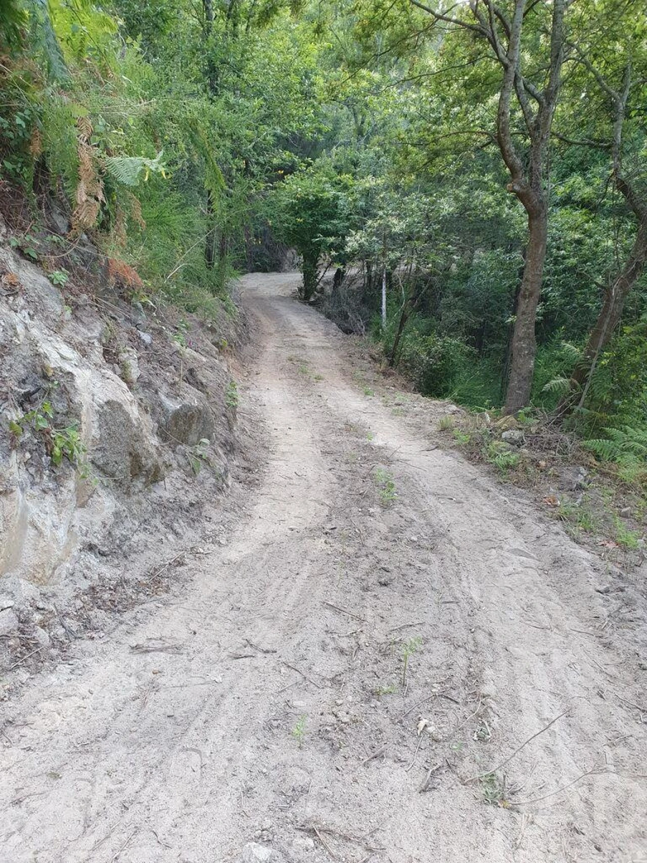 Terreno para Venda em Tarouquela Foto 31
