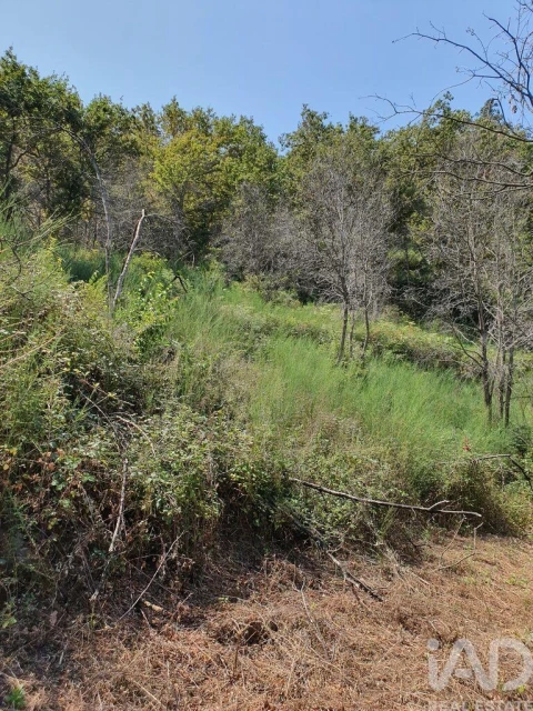 Terreno para Venda em Tarouquela