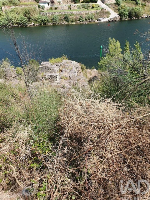 Terreno para Venda em Tarouquela