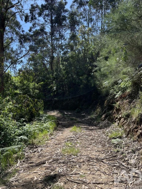 Terreno para Venda em Tarouquela