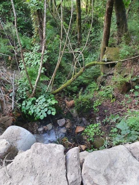 Terreno para Venda em Tarouquela