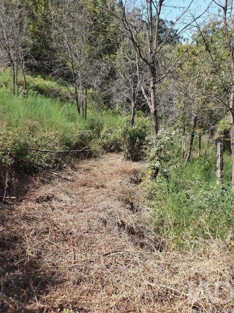 Terreno para Venda em Tarouquela