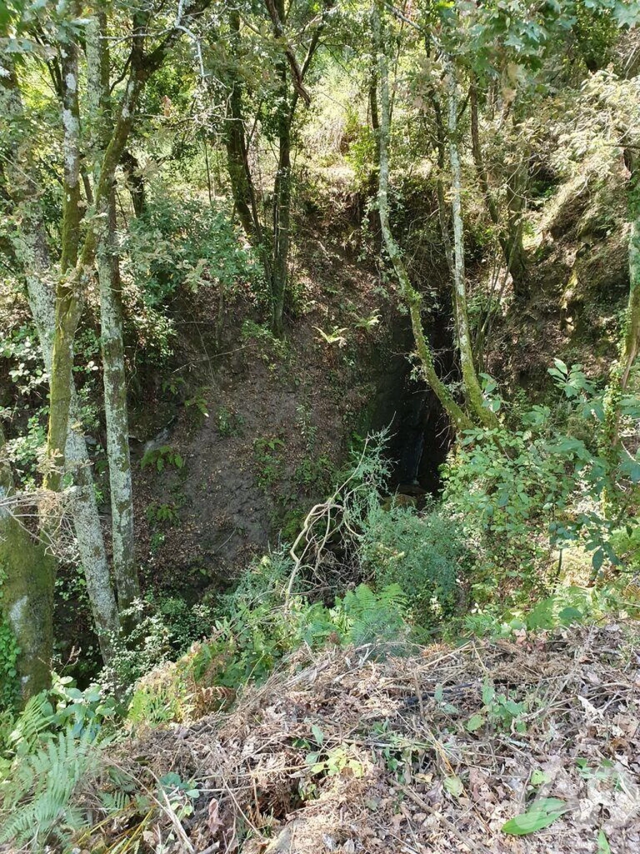 Terreno para Venda em Tarouquela Foto 20