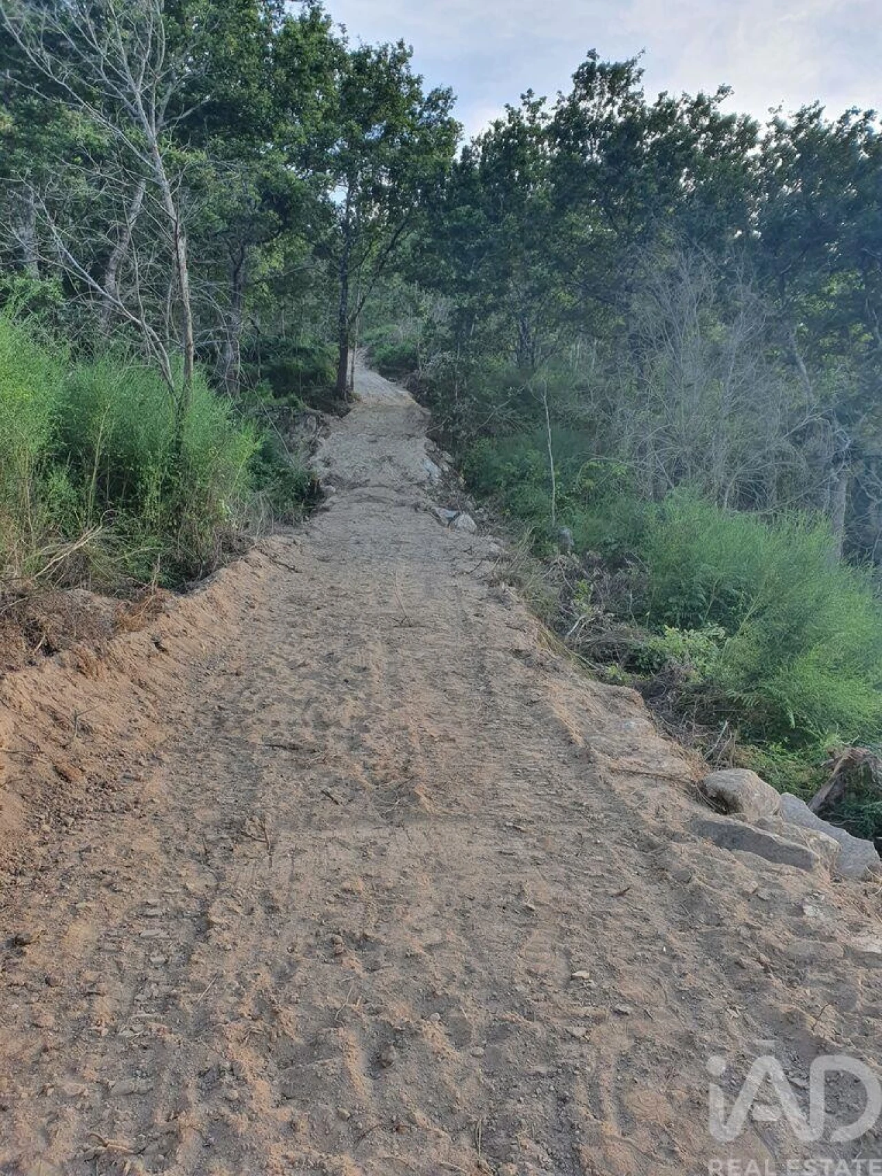 Terreno para Venda em Tarouquela Foto 33