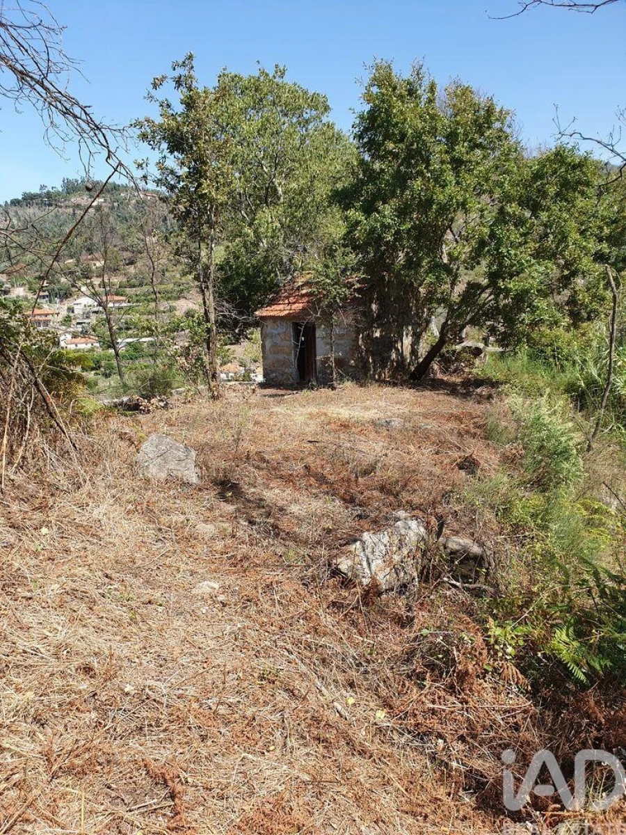 Terreno para Venda em Tarouquela Foto 23