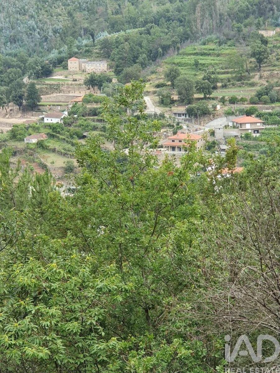 Terreno para Venda em Tarouquela Foto 16
