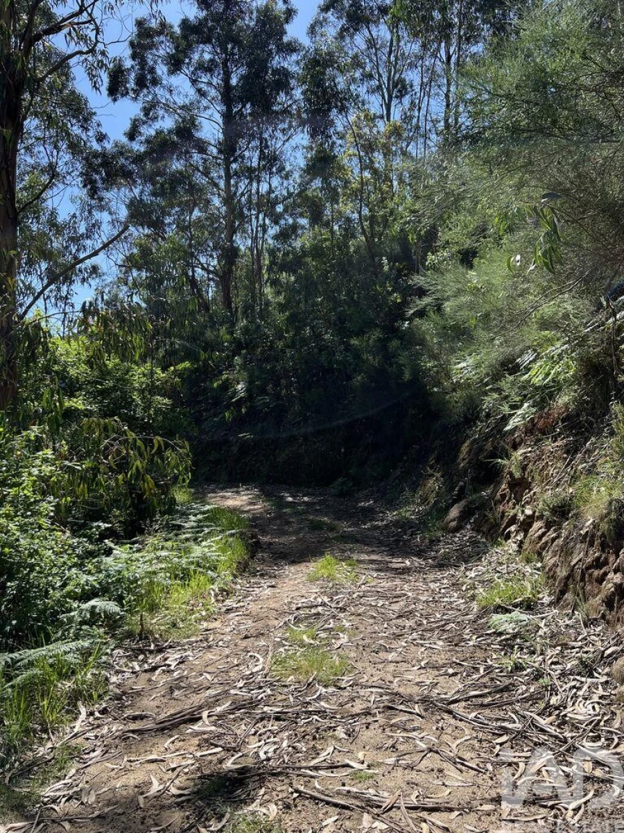 Terreno para Venda em Tarouquela Foto 8