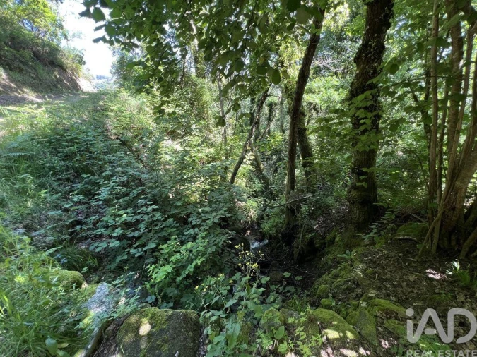 Terreno para Venda em Tarouquela Foto 12