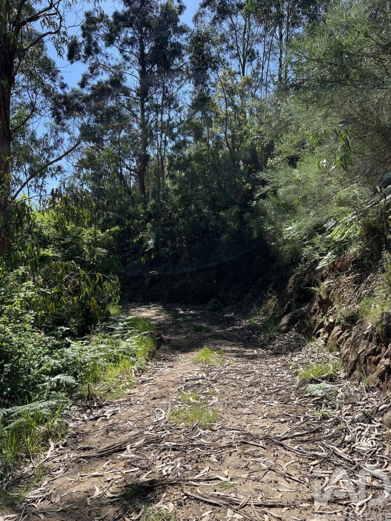 Terreno para Venda em Tarouquela Foto 8