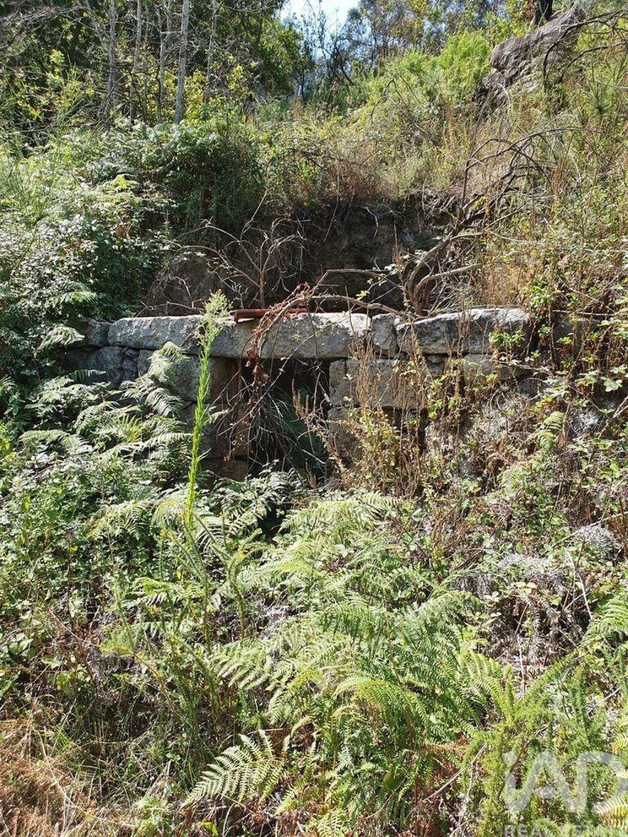 Terreno para Venda em Tarouquela Foto 19