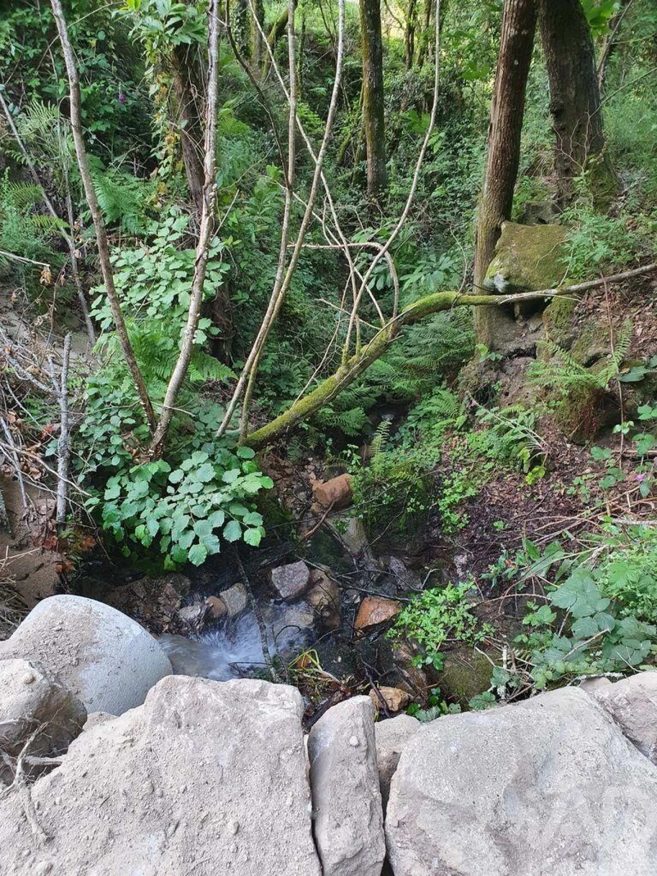 Terreno para Venda em Tarouquela Foto 29