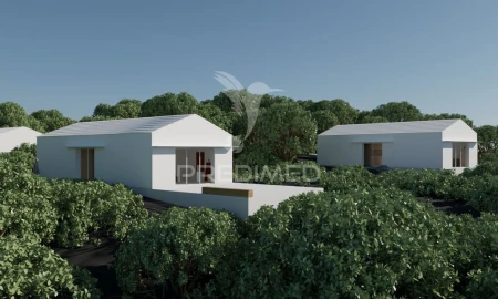 Terreno para Venda em Santo Antonio