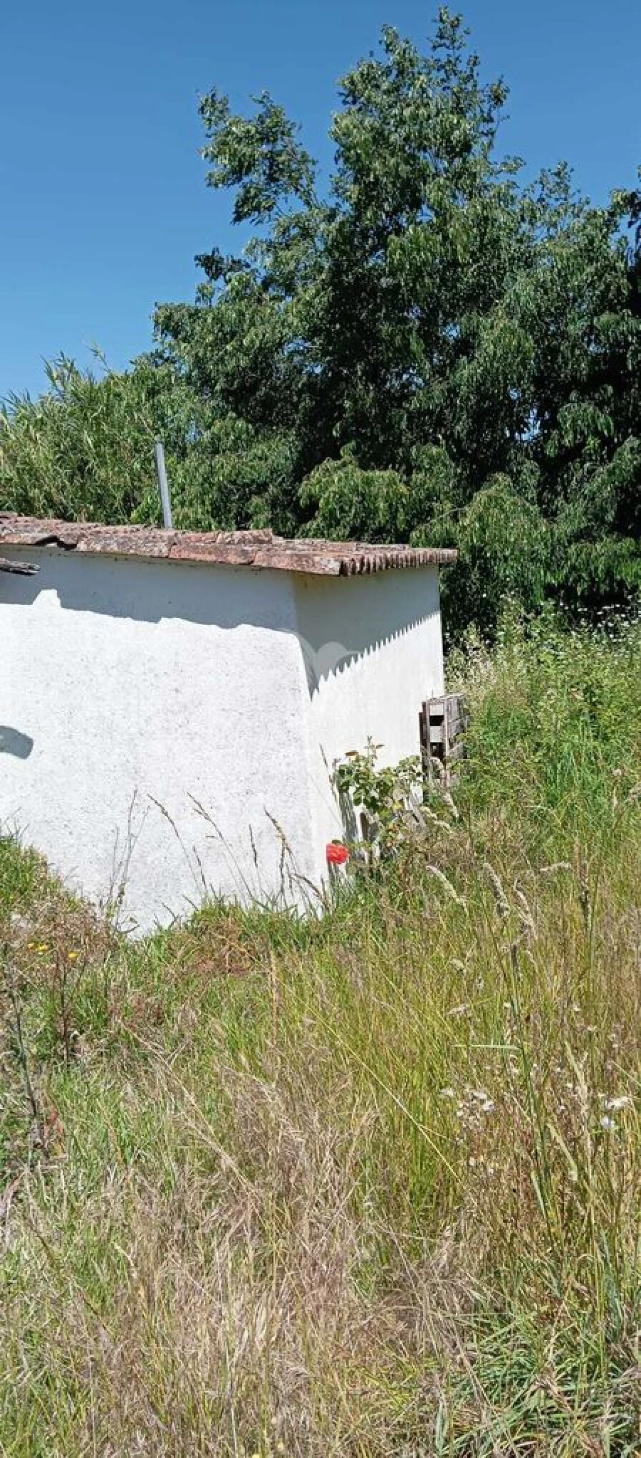 Moradia T2 para Venda em Sé e São Lourenço Foto 7