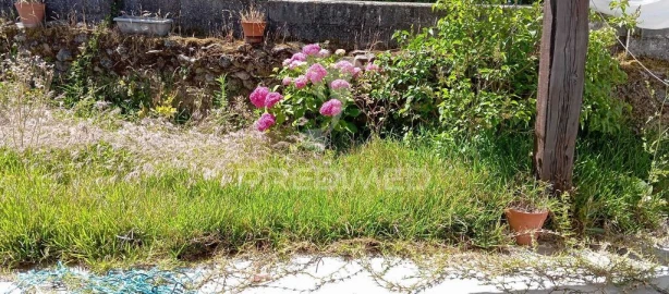 Moradia T2 para Venda em Sé e São Lourenço