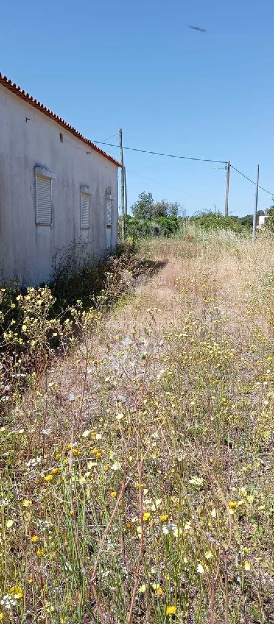 Moradia T2 para Venda em Sé e São Lourenço Foto 4