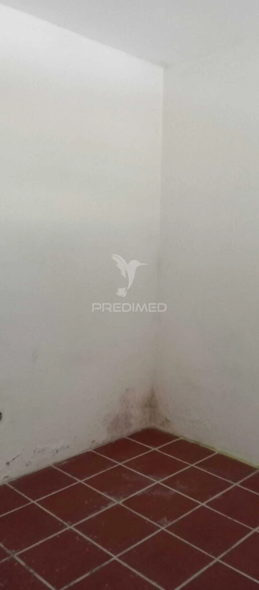 Moradia T2 para Venda em Sé e São Lourenço Foto 15