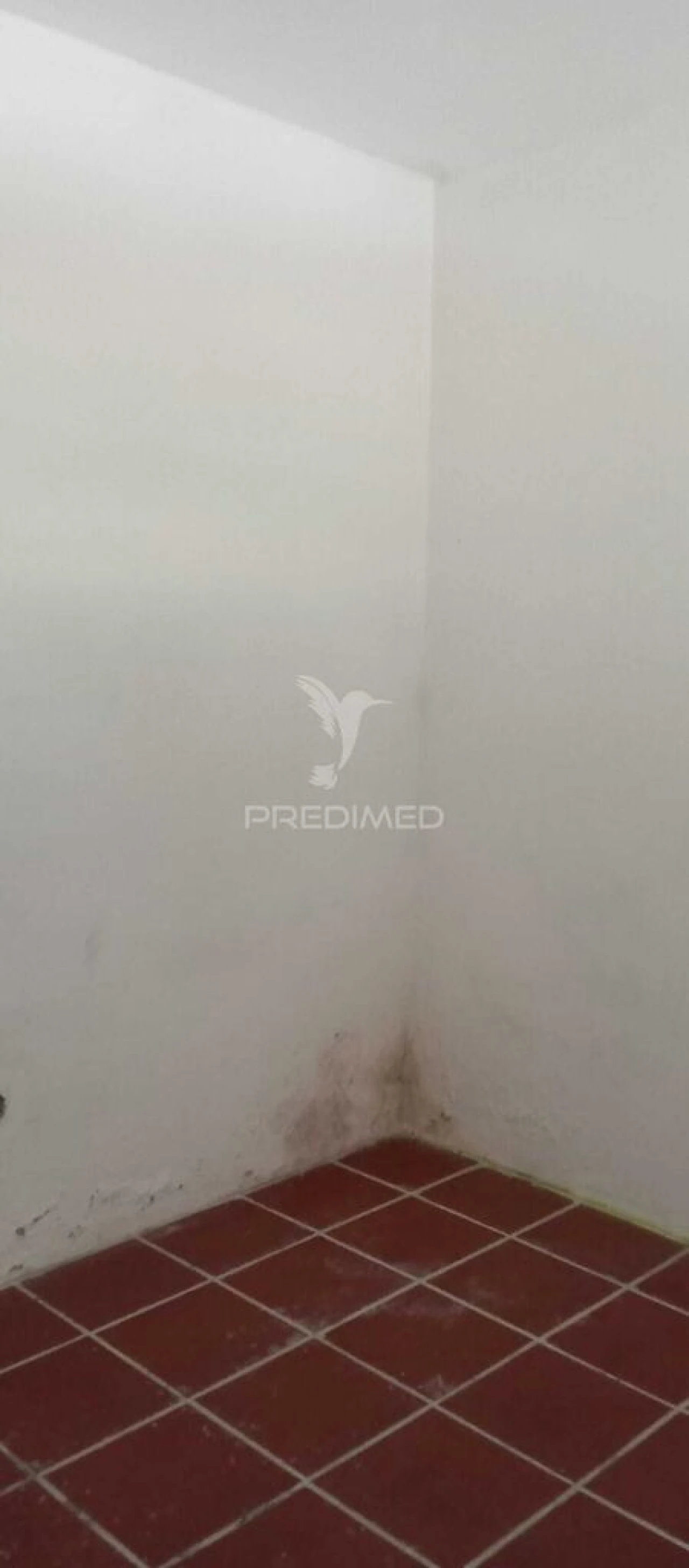 Moradia T2 para Venda em Sé e São Lourenço Foto 15