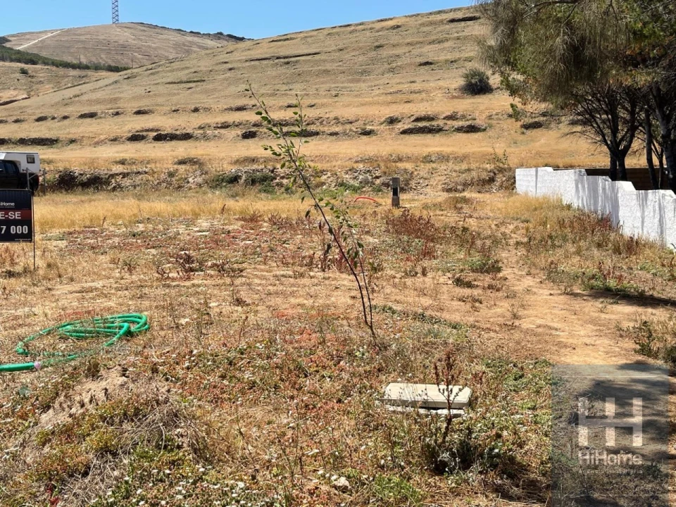 Terreno para Venda em Porto Santo Foto 3