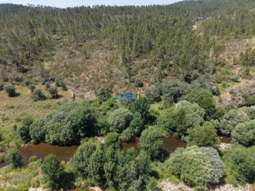 Terreno para Venda em Sarzedas