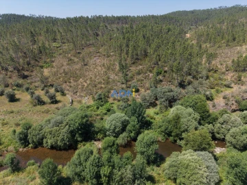 Terreno para Venda em Sarzedas