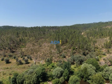 Terreno para Venda em Sarzedas