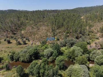 Terreno para Venda em Sarzedas