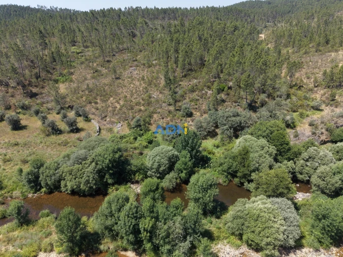Terreno para Venda em Sarzedas